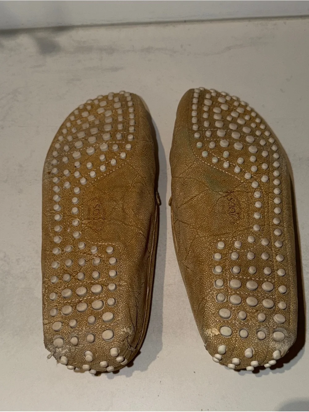 Tods classic tan